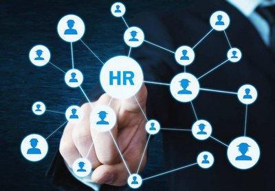 网络技术开发 驱动四海共创团队高效协作的强大引擎