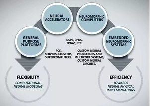 神经网络 技术发展、未来挑战与网络技术开发的交汇点