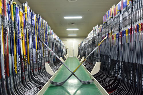 干实体 看桐企︱波力科技 打造特色观光工厂，推动产业融合发展